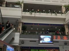 -上海市东方医院(总院)