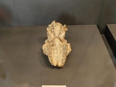 -北京周口店北京人遗址博物馆