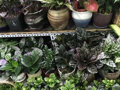 -三旗百汇商品城