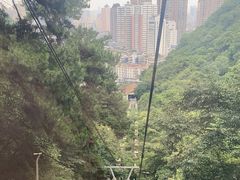 -黔灵山公园