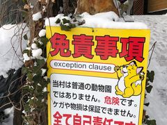 -宫城藏王狐狸村