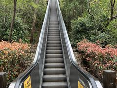 -天目湖山水园