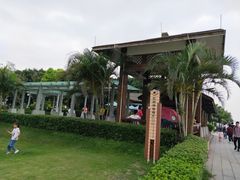 -大湾区中央湿地公园