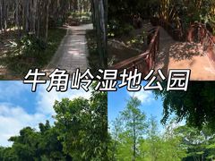 -晓港公园