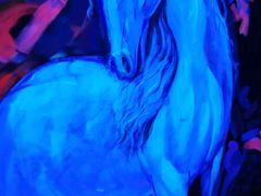 -深圳独角兽星空艺术馆