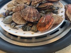 -港畔赶海蒸汽海鲜烧烤自助(仙螺岛店)