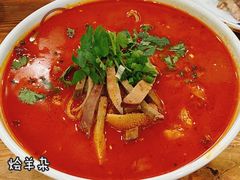 -国强手抓(西夏区店)