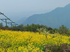 -九皇山景区
