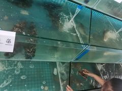 水产区-琼大师东方烤乳猪(亚特兰蒂斯店)