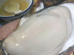 -土蚝·高压锅生蚝(百姓美食街店)