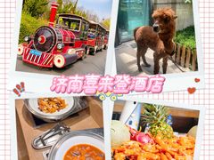 -济南喜来登酒店