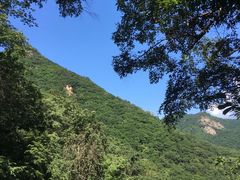 -龙道沟景区