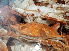 -加尔森烤肉海鲜·火锅烧烤自助