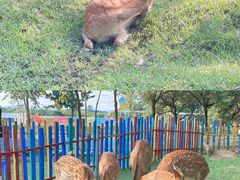 -广东花都香草世界旅游度假区