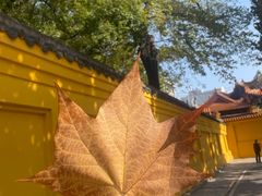 -宝通禅寺