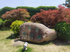 -嘉定紫藤园