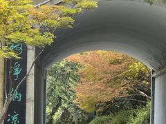 -环城公园