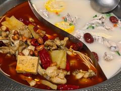 -麻田会 ·鲜活现烹·牛蛙火锅(珠江新城维家思广场店)