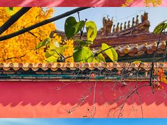 -故宫博物院(故宫)