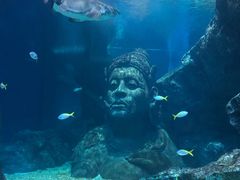 -暹罗海洋世界