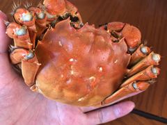 -品鲜村农家菜·阳澄湖大闸蟹(总店)