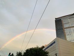 -三只熊皮肤管理中心