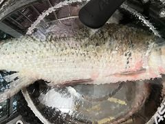 -东漖肉菜综合市场
