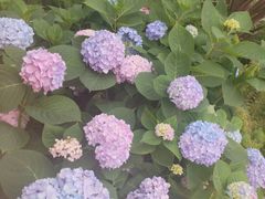 -成都市第一人民医院(南区)