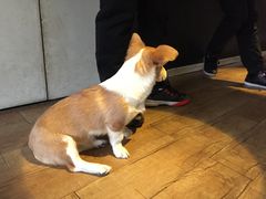 -M-3 PUB(创智天地店)