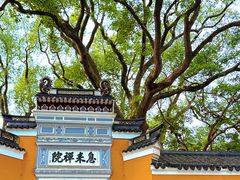 -普陀山慧济禅寺