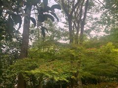 -新丰小吃(春漫里店)