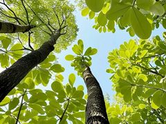 -蜀冈西峰生态公园