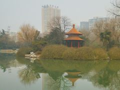 -西苑公园