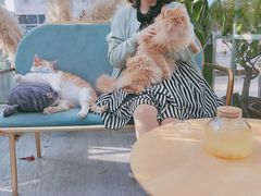-小时光咖啡馆(北锣鼓巷店)