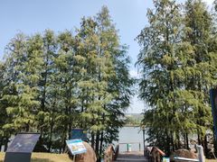 -中国移动南方基地