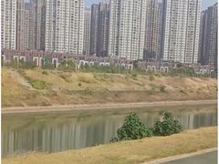 -洋湖国家湿地公园