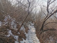 -北京凤凰岭