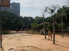 -深圳野生动物园