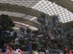 -杭州开元森泊度假乐园