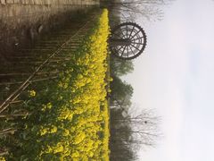 iphone_upload_pic-溱湖国家湿地公园