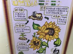 -上海昆虫博物馆