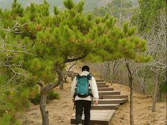 -北京十三陵国家森林公园蟒山景区