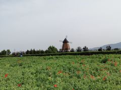 -君乐宝优致牧场