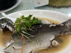 油盐蒸山溪鲩鱼-江海酒家(赤岗店)