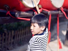 -合肥滨湖国家森林公园