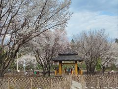 -黑龙江省森林植物园