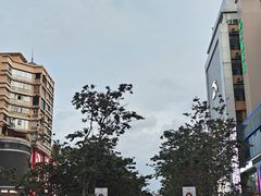 -南屏步行街