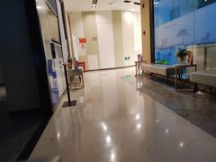 -柏乐口腔医院·舒适化无痛种植牙中心(东盟商务区院)