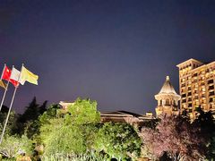 -上海浦东星河湾酒店