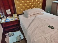 -圣爵菲斯大酒店(长沙世界之窗店)